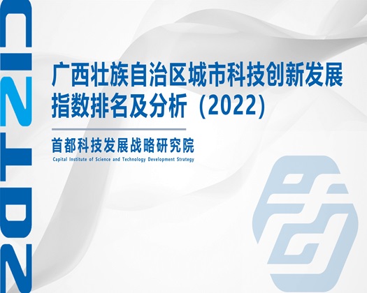 摸逼小视频【成果发布】广西壮族自治区城市科技创新发展指数排名及分析（2022）